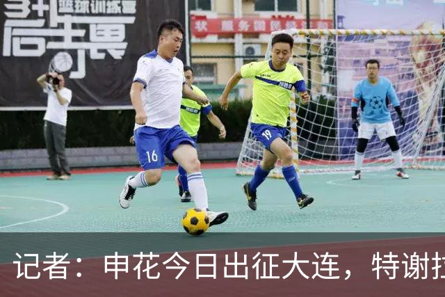 记者：申花今日出征大连，特谢拉、米内罗、李可因伤无法出战